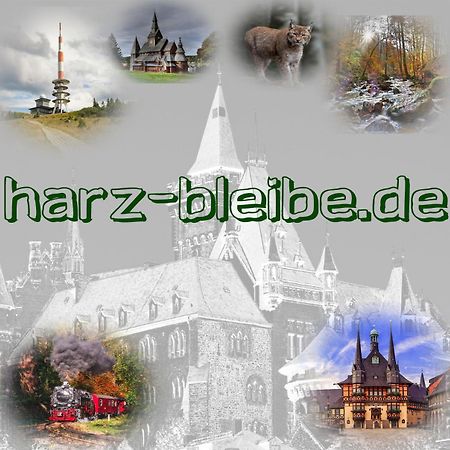 Ferienwohnung Harz-Bleibe Wernigerode Exterior foto