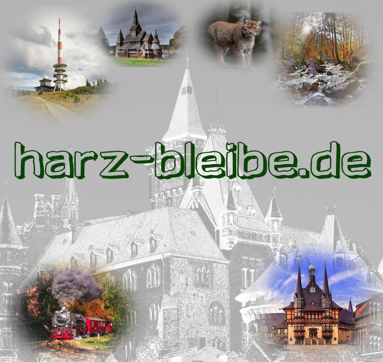 Ferienwohnung Harz-Bleibe Wernigerode Exterior foto